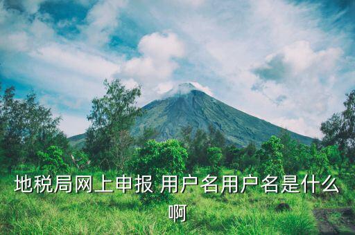 地稅注冊(cè)用戶名是什么意思，地稅的用戶名是什么