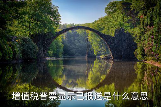 什么是報(bào)送報(bào)告，什么是報(bào)送審計(jì)