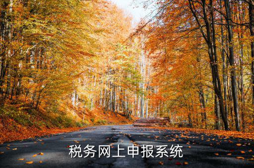 什么是稅收網(wǎng)報軟件，稅務(wù)網(wǎng)上申報系統(tǒng)