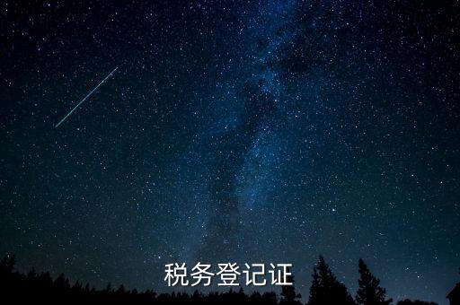 稅務登記證
