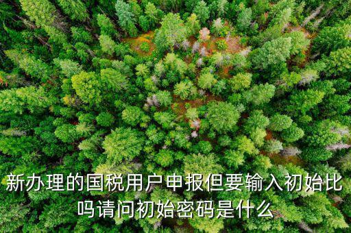 初始申報密碼是什么，小關稅務所 新企業(yè) 網(wǎng)上納稅申報初始密碼是什么