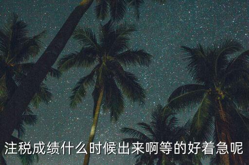 注稅成績(jī)什么時(shí)候出來啊等的好著急呢