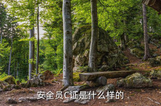 數(shù)字人事是什么樣的，數(shù)字人事是什么