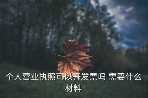 個(gè)體打印發(fā)票需要什么，個(gè)人購(gòu)物開(kāi)增值稅普通發(fā)票需要什么資料
