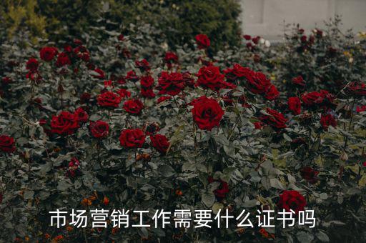 市場(chǎng)營(yíng)銷(xiāo)工作需要什么證書(shū)嗎