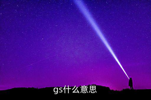 什么是gs系統(tǒng)，gs什么意思