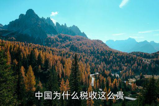 中國為什么靠稅收，中國為什么稅收這么貴