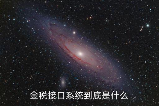 金稅售后是做什么的，鞍山金稅科技有限公司是干什么工作