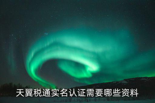 天翼稅通實名認(rèn)證需要哪些資料