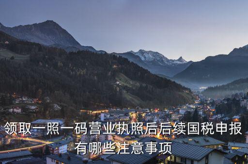 領取一照一碼營業(yè)執(zhí)照后后續(xù)國稅申報有哪些注意事項