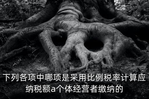 下列各項中哪項是采用比例稅率計算應(yīng)納稅額a個體經(jīng)營者繳納的