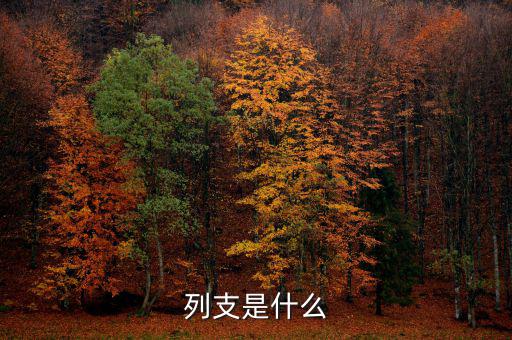 賠付支出能列支什么意思，列支是什么意思
