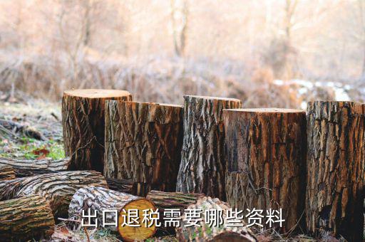 外貿(mào)退稅需要什么資料，出口退稅需要哪些資料