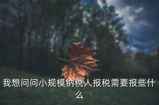 小規(guī)模國稅申報些什么，小規(guī)模納稅人國稅需要報什么資料