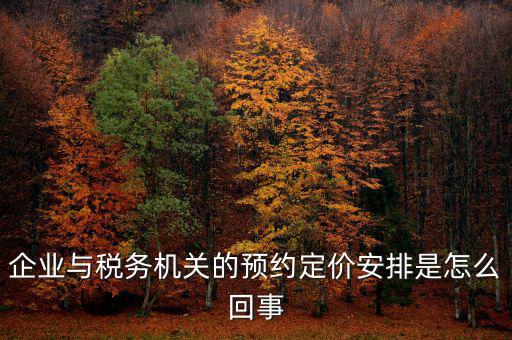 企業(yè)與稅務(wù)機關(guān)的預(yù)約定價安排是怎么回事