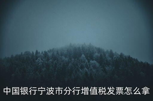 寧波國稅過發(fā)票要帶什么，浙江地區(qū)公司首次拿發(fā)票去國稅局需要帶什么證件