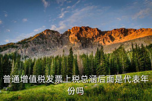 稅總涵2016代表什么意思，稅總財(cái)行便函201616號(hào)保險(xiǎn)公司開具保險(xiǎn)發(fā)票車船稅只在備注