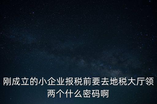 繳稅服務(wù)廳口令輸什么，剛成立的小企業(yè)報(bào)稅前要去地稅大廳領(lǐng)兩個(gè)什么密碼啊