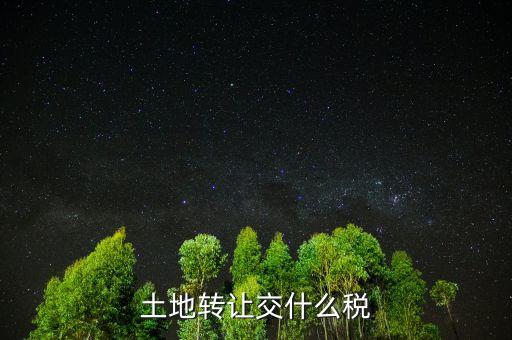 出讓土地交什么稅，土地出讓要交什么稅