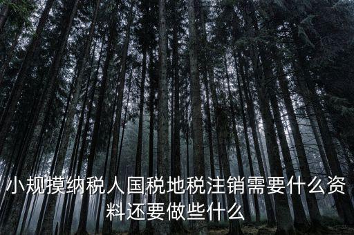 國(guó)地稅注銷需要什么，小規(guī)摸納稅人國(guó)稅地稅注銷需要什么資料還要做些什么