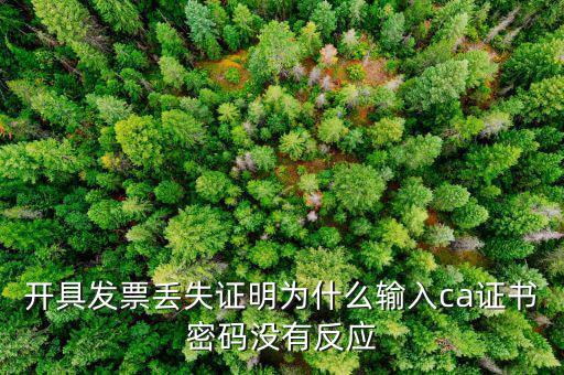 開(kāi)具發(fā)票丟失證明為什么輸入ca證書(shū)密碼沒(méi)有反應(yīng)