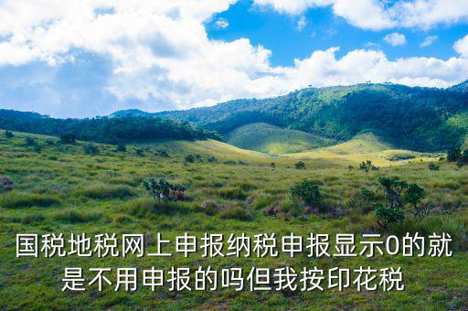 國(guó)稅申報(bào)提示0000什么意思，錯(cuò)誤代碼0000是什么意思