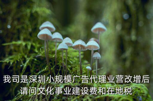 我司是深圳小規(guī)模廣告代理業(yè)營改增后請問文化事業(yè)建設費和在地稅