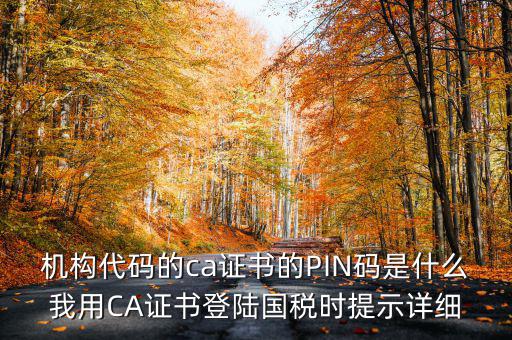 國(guó)稅ca證書(shū)登錄 密碼是什么，國(guó)稅第一次網(wǎng)上申報(bào)的登陸密碼是什么