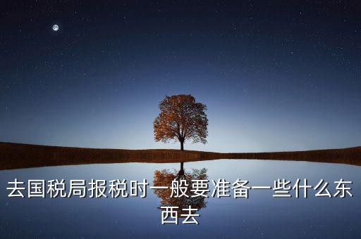 去國稅局都是帶什么東西，去國稅定稅要帶哪些東西啊我暈倒了以前從來沒定過