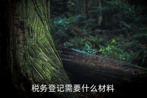 稅務(wù)辦理需要什么東西，辦理稅務(wù)登記證都需要帶什么東西