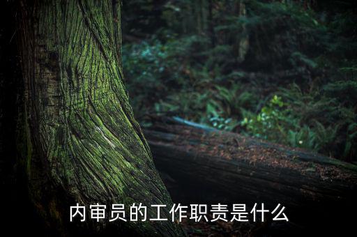 督察內(nèi)審是什么工作，內(nèi)審監(jiān)察主要工作職能