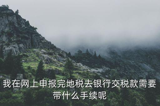 我在網上申報完地稅去銀行交稅款需要帶什么手續(xù)呢