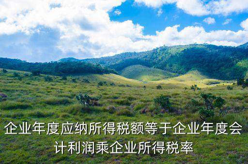 應(yīng)納稅所得額等于什么，什么是應(yīng)納稅所得額