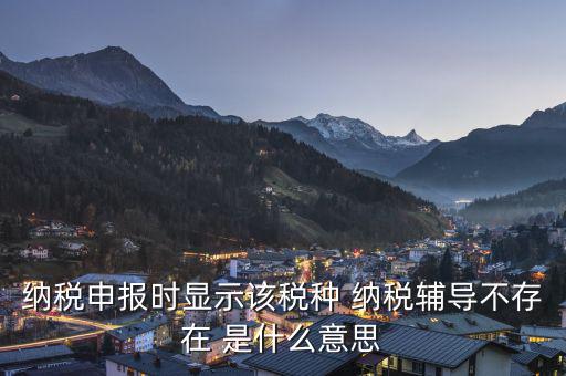 納稅輔導是什么意思，納稅申報時顯示該稅種 納稅輔導不存在 是什么意思