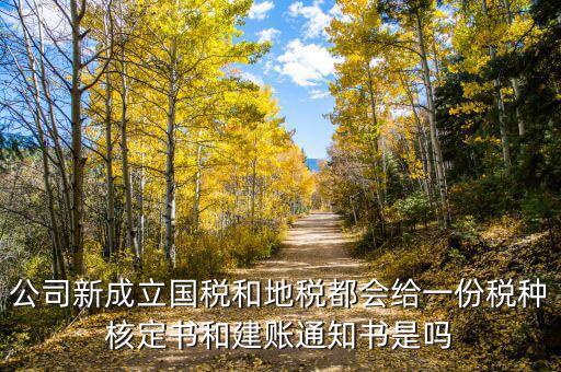 公司新成立國稅和地稅都會(huì)給一份稅種核定書和建賬通知書是嗎
