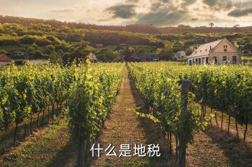 地稅和什么有關(guān)，什么是地稅