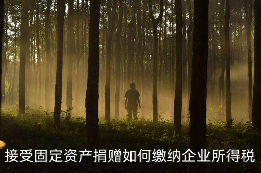 接受固定資產(chǎn)捐贈要交什么稅，贈送固定資產(chǎn)要繳納營業(yè)稅嗎