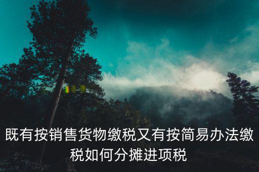 進(jìn)項(xiàng)稅分?jǐn)偸鞘裁匆馑?，既有按銷售貨物繳稅又有按簡(jiǎn)易辦法繳稅如何分?jǐn)傔M(jìn)項(xiàng)稅