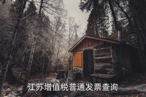 江蘇國(guó)稅網(wǎng)站運(yùn)行的環(huán)境是什么，江蘇國(guó)稅徐州網(wǎng)站怎么上不去