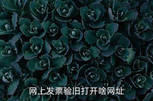 山東省網(wǎng)絡(luò)開票網(wǎng)址是什么，網(wǎng)上發(fā)票驗(yàn)舊打開啥網(wǎng)址