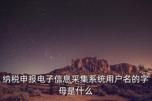 納稅人用戶編號是什么，地稅的用戶名是什么