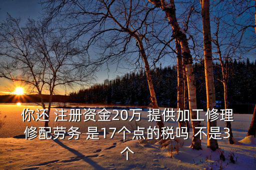 你還 注冊(cè)資金20萬(wàn) 提供加工修理修配勞務(wù) 是17個(gè)點(diǎn)的稅嗎 不是3個(gè)