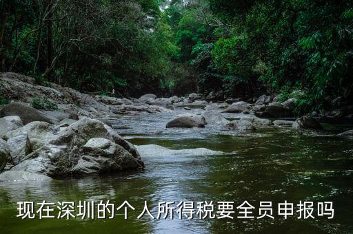 深圳為什么要個(gè)稅申報(bào)，外地企業(yè)如何在深圳為什么還要繳納個(gè)人所得稅1