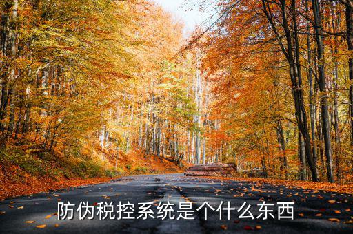 防偽稅控一體化什么時(shí)候，營改增后漢字防偽企業(yè)抄報(bào)稅時(shí)需要使用什么設(shè)備