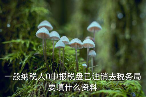 注銷(xiāo)金稅盤(pán)需要帶什么資料，請(qǐng)問(wèn)注銷(xiāo)稅務(wù)登記需要提供哪些資料