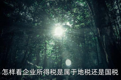 所得稅屬于什么稅，所得稅包括什么稅