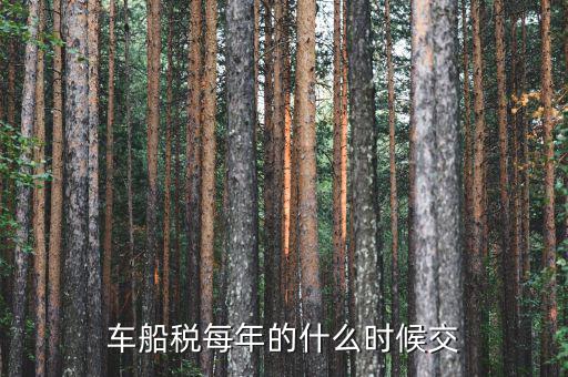 車船稅從什么時間交，車船稅什么時候交比如要交2017年的是2016年12月31日前交還是