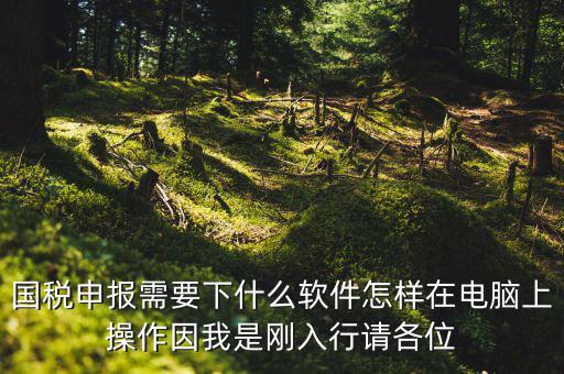 寶雞國(guó)稅用的什么軟件報(bào)稅，寶雞報(bào)稅怎么報(bào)