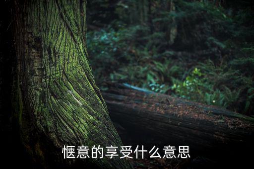 應(yīng)享盡享什么意思，愜意的享受什么意思