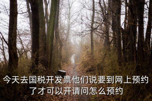 國稅預(yù)約的是什么，拿金稅盤去國稅前臺(tái)弄要預(yù)約嗎
